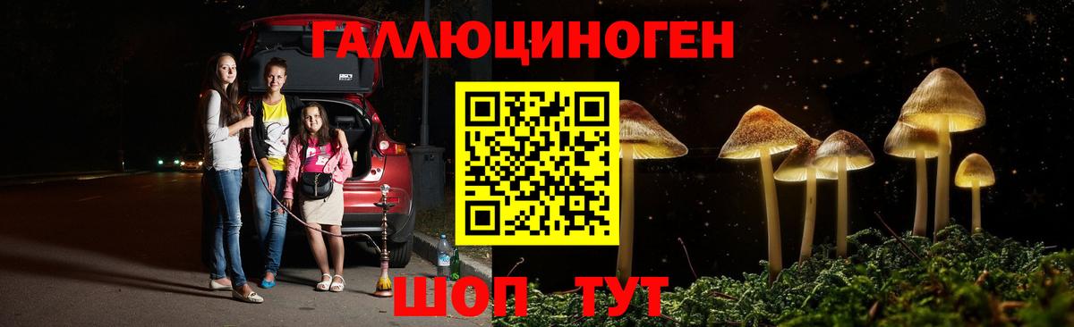 Псилоцибиновые грибы мицелий  Вход с VPN  Людиново 